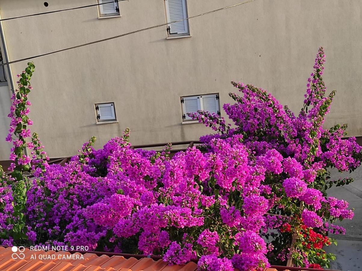 Apartments Iva باكوشتاني المظهر الخارجي الصورة