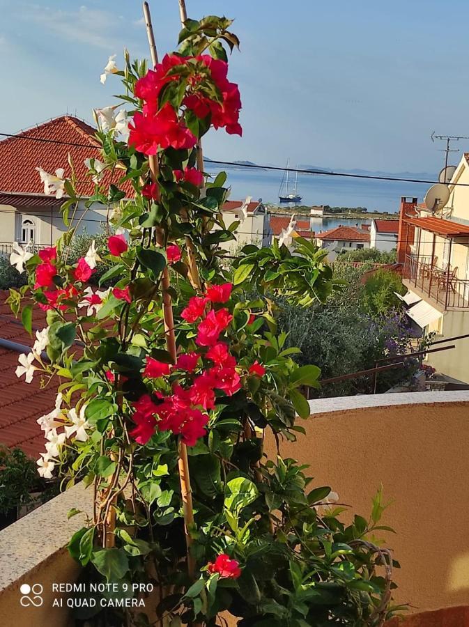 Apartments Iva باكوشتاني المظهر الخارجي الصورة