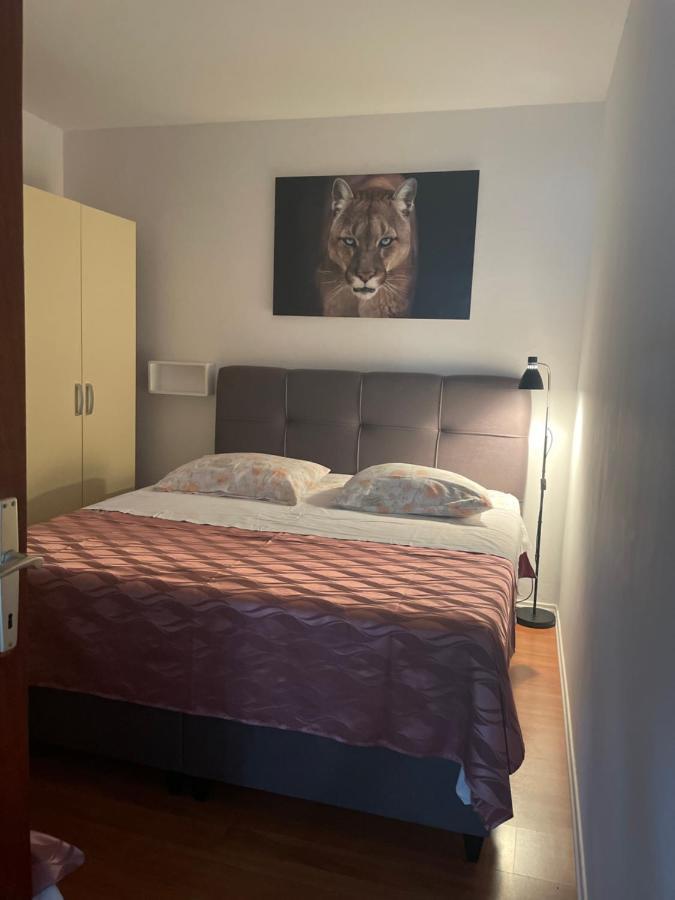 Apartments Iva باكوشتاني المظهر الخارجي الصورة