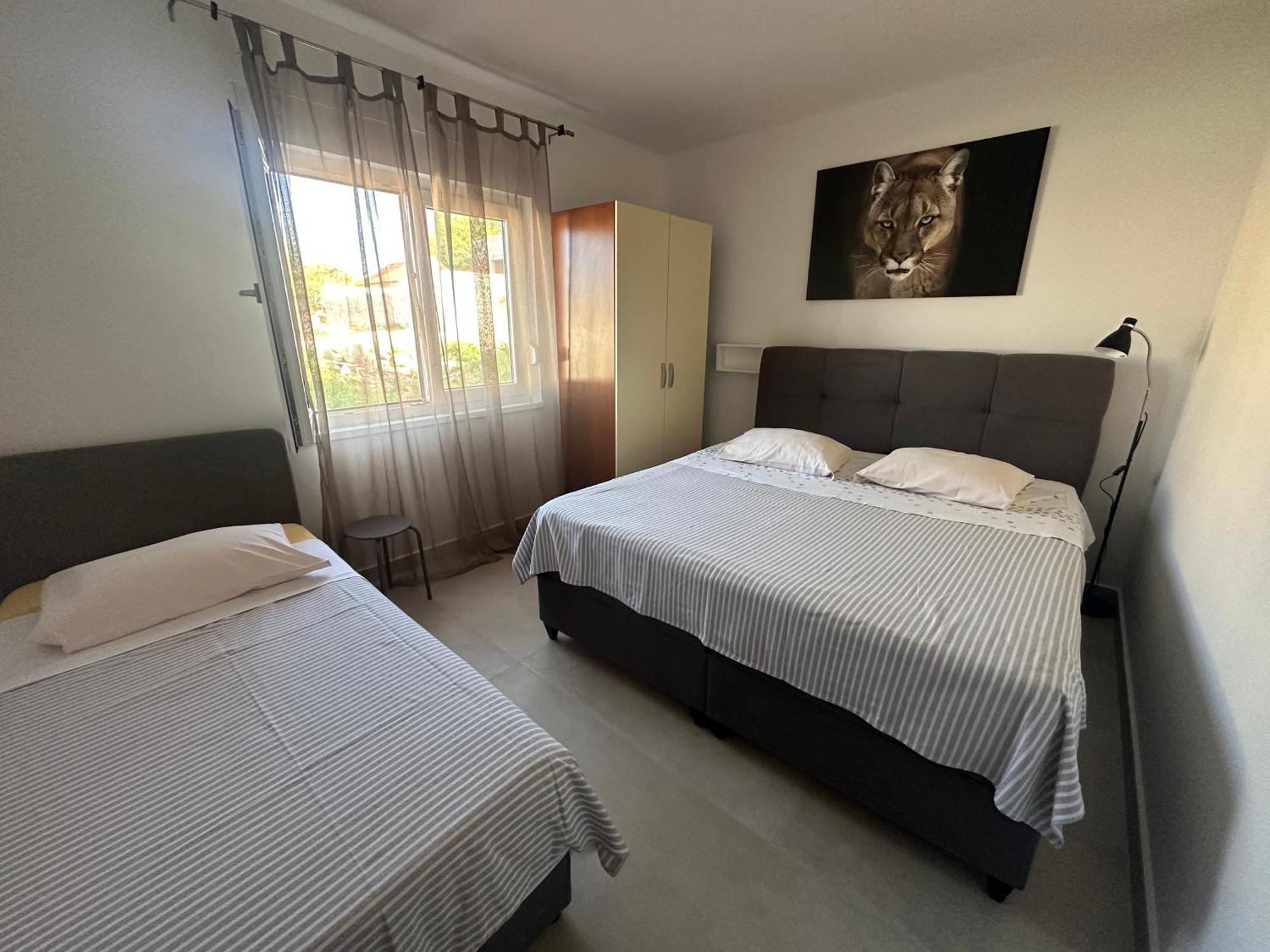 Apartments Iva باكوشتاني المظهر الخارجي الصورة